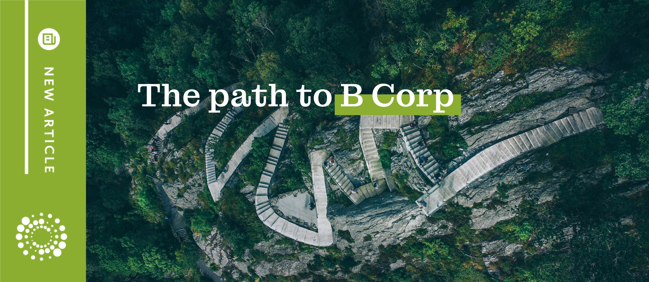 The BidCraft path to B Corp